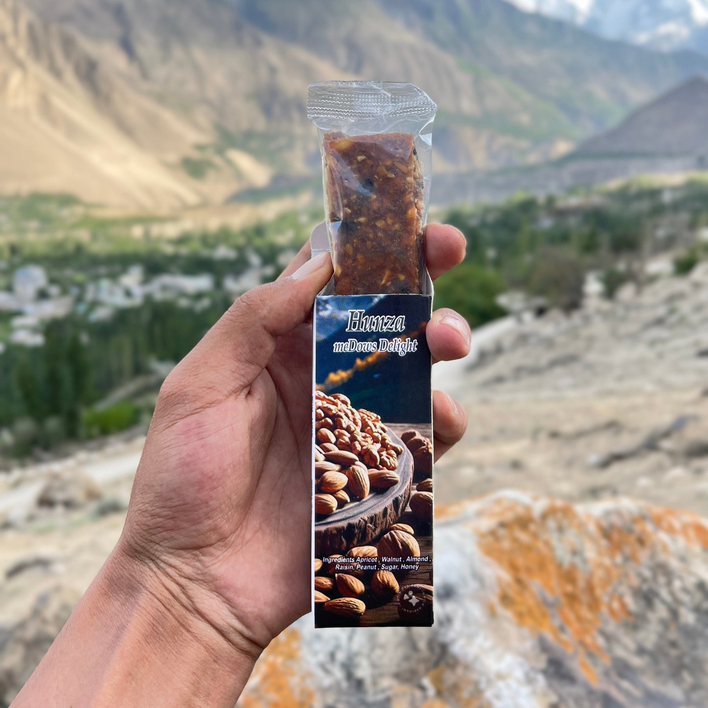 Dry Fruit Energy Bar