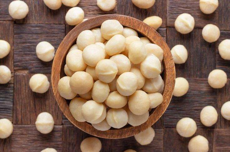 Bowl of creamy, buttery macadamia nuts rich in healthy fats and antioxidants for wellness.